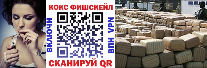 КОКАИН FishScale  купить   Камышлов 