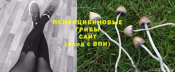 кокаин перу Заводоуковск