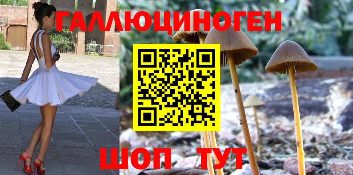 Псилоцибиновые грибы прущие грибы  Вход с VPN  Галлюциногенные грибы MAGIC MUSHROOMS  наркошоп  Камышлов 